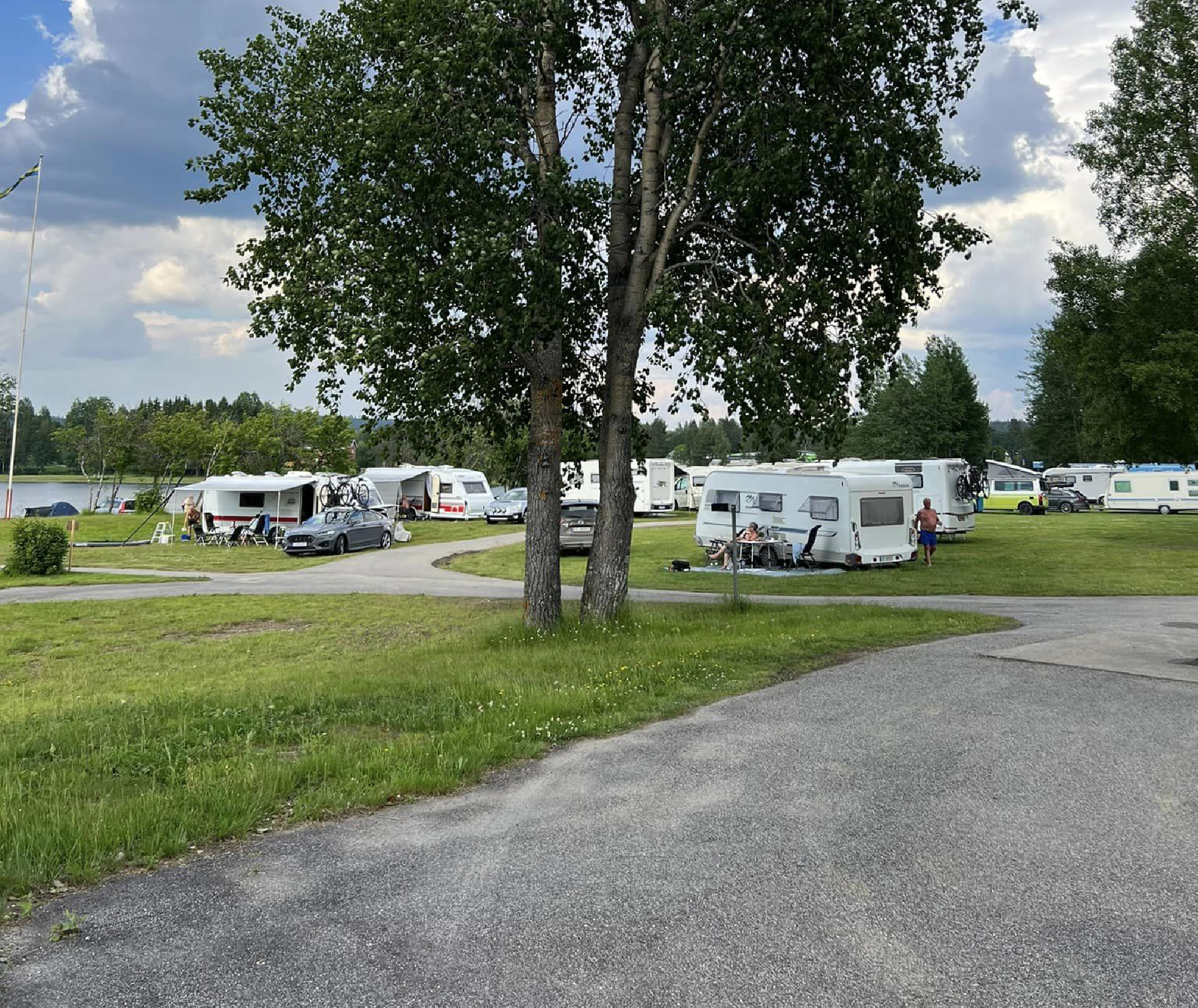 Grönska omkring husvagnarna på Storumans camping